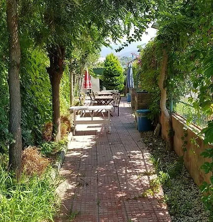 Апартаменты Riverside Алания